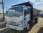 2024 Chevrolet LCF 5500XD Regular Cab RWD Jersey Truck for sale #R7309129 - photo 3