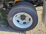 2024 Chevrolet LCF 5500XD Regular Cab RWD Jersey Truck for sale #R7309129 - photo 4