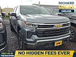 2025 Chevrolet Silverado 1500 Crew Cab 4x4 Pickup for sale #SZ273421 - photo 1