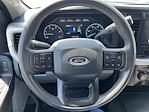 2024 Ford F-250 Crew Cab 4x4 Pickup for sale #7565 - photo 10