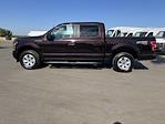 2019 Ford F-150 SuperCrew Cab SRW 4x4 Pickup for sale #7601 - photo 6