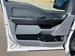 2021 Ford F-150 Regular Cab 4x2 Pickup for sale #7637 - photo 16