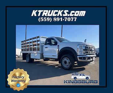 2024 Ford F-450 Regular Cab DRW 4x2 Cab Chassis for sale #7675 - photo 1