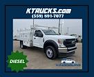 2020 Ford F-450 Regular Cab DRW 4x2 Cab Chassis for sale #7705 - photo 1