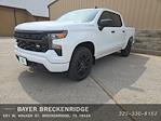 2025 Chevrolet Silverado 1500 Crew Cab 4x2 Pickup for sale #B3809 - photo 1