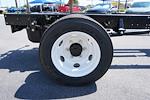 2024 Chevrolet LCF 4500HG Regular Cab RWD Cab Chassis for sale #RS203233 - photo 7