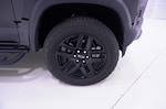 2024 Chevrolet Colorado Crew Cab 4x4 Pickup for sale #TR1144625 - photo 6
