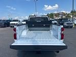 New 2025 Chevrolet Silverado 3500 Work Truck Double Cab 4WD Pickup for sale #W50487 - photo 18