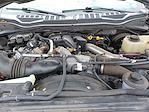 2019 Ford F-250 Crew Cab 4WD Pickup for sale #KEE73807 - photo 16