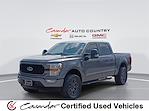 2022 Ford F-150 SuperCrew Cab 4WD Pickup for sale #NKD56284 - photo 1