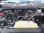 2022 Ford F-150 SuperCrew Cab 4WD Pickup for sale #NKD56284 - photo 15