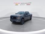 2022 Ford F-150 SuperCrew Cab 4WD Pickup for sale #NKD56284 - photo 4