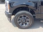 2023 Ford F-250 Crew Cab 4WD Pickup for sale #PED09138 - photo 16