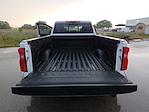 2023 Chevrolet Silverado 3500 Crew Cab 4WD Pickup for sale #PF153995 - photo 16