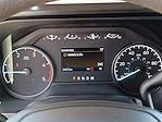 2024 Ford F-250 Crew Cab 4WD Pickup for sale #REE10992 - photo 10