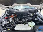 2024 Ford F-150 SuperCrew Cab 4WD Pickup for sale #RFA36581 - photo 15