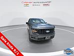 2024 Ford F-150 SuperCrew Cab 4WD Pickup for sale #RKF10137 - photo 5