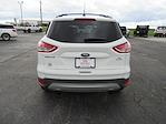 Used 2015 Ford Escape SE for sale #17554 - photo 4