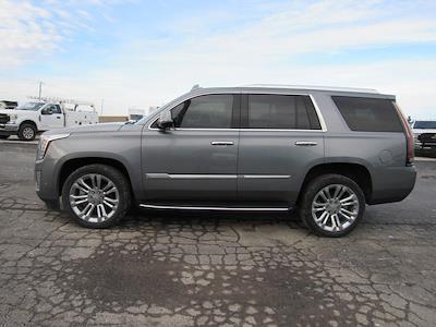 Used 2020 Cadillac Escalade Luxury for sale #17674 - photo 1