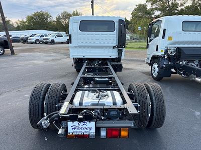 2024 Chevrolet LCF 4500 Crew Cab 4x2, Cab Chassis for sale #3161T - photo 2