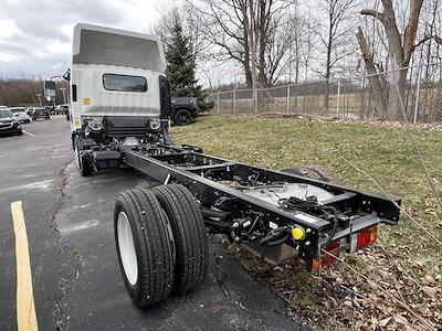 New 2024 Chevrolet LCF 5500XD Regular Cab 4x2 Cab Chassis for sale #24WC1202 - photo 2