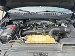 2020 Ford F-150 SuperCrew Cab 4x4 Pickup for sale #5W0129A - photo 27