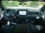 2024 Ford F-150 SuperCrew Cab 4WD Pickup for sale #2400615 - photo 10