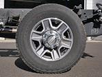 2024 Ford F-350 Crew Cab SRW 4WD Cab Chassis for sale #2401014 - photo 16