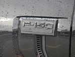 2024 Ford F-150 SuperCrew Cab 4WD Pickup for sale #2401050 - photo 19