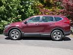2019 Honda CR-V AWD SUV for sale #2500025C - photo 15