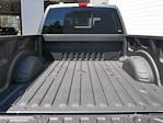 2025 Ford F-350 Crew Cab SRW 4WD Pickup for sale #2500100 - photo 29