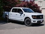 2025 Ford F-150 SuperCrew Cab 4WD Pickup for sale #2500359 - photo 35