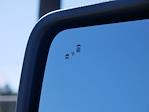 2025 Ford F-150 SuperCrew Cab 4WD Pickup for sale #2500365 - photo 39