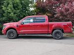 2025 Ford F-150 SuperCrew Cab 4WD Pickup for sale #2500385 - photo 18