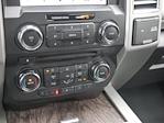 2017 Ford F-250 Crew Cab 4WD Pickup for sale #2500426A - photo 14