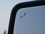 2025 Ford Bronco 4WD SUV for sale #2500506 - photo 35