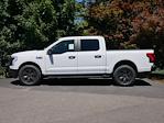 2025 Ford F-150 Lightning SuperCrew Cab AWD Pickup for sale #2500547 - photo 16