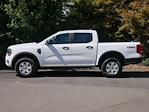 New 2025 Ford Ranger XL SuperCrew Cab 4WD Pickup for sale #2500566 - photo 17