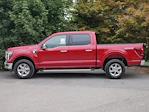 2025 Ford F-150 SuperCrew Cab 4WD Pickup for sale #2500587 - photo 19