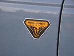 2025 Ford Bronco 4WD SUV for sale #2500641 - photo 21