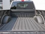 2025 Ford F-250 Crew Cab 4WD Pickup for sale #2500644 - photo 26