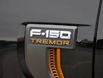 2025 Ford F-150 SuperCrew Cab 4WD Pickup for sale #2500723 - photo 21