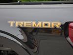2025 Ford F-150 SuperCrew Cab 4WD Pickup for sale #2500723 - photo 23