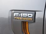 2025 Ford F-150 SuperCrew Cab 4WD Pickup for sale #2500747 - photo 20