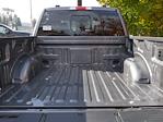 New 2025 Ford F-150 XLT SuperCrew Cab 4WD Pickup for sale #2500950 - photo 25