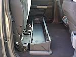 New 2025 Ford F-150 XLT SuperCrew Cab 4WD Pickup for sale #2500950 - photo 31