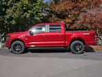 New 2025 Ford F-150 STX SuperCrew Cab 4WD Pickup for sale #2500992 - photo 10