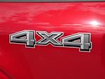 New 2025 Ford F-150 STX SuperCrew Cab 4WD Pickup for sale #2500992 - photo 13