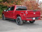 New 2025 Ford F-150 STX SuperCrew Cab 4WD Pickup for sale #2500992 - photo 14