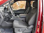 New 2025 Ford F-150 STX SuperCrew Cab 4WD Pickup for sale #2500992 - photo 1